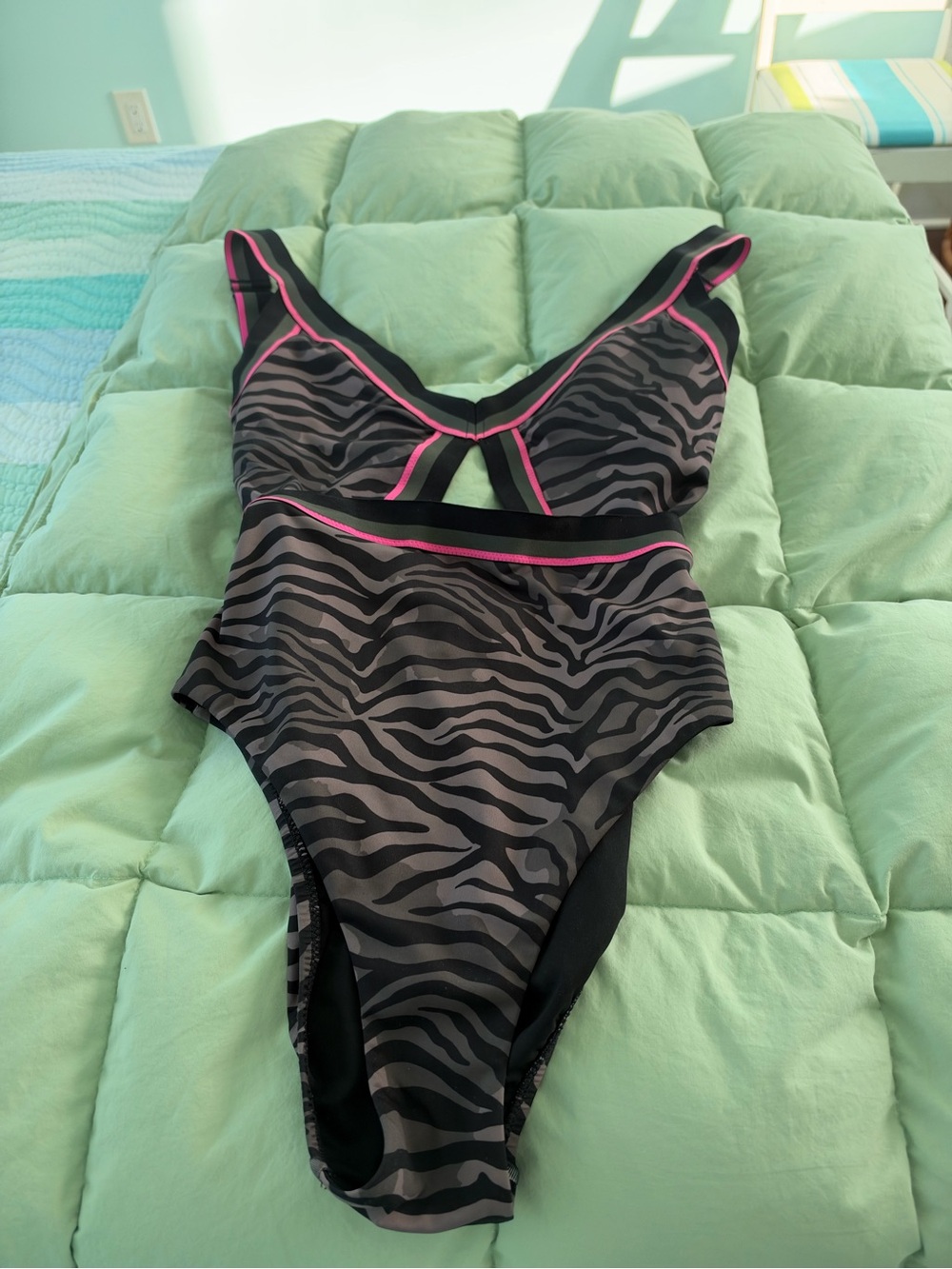 Women’s Black & Gray Zebra Print One-Piece with Pink Trim